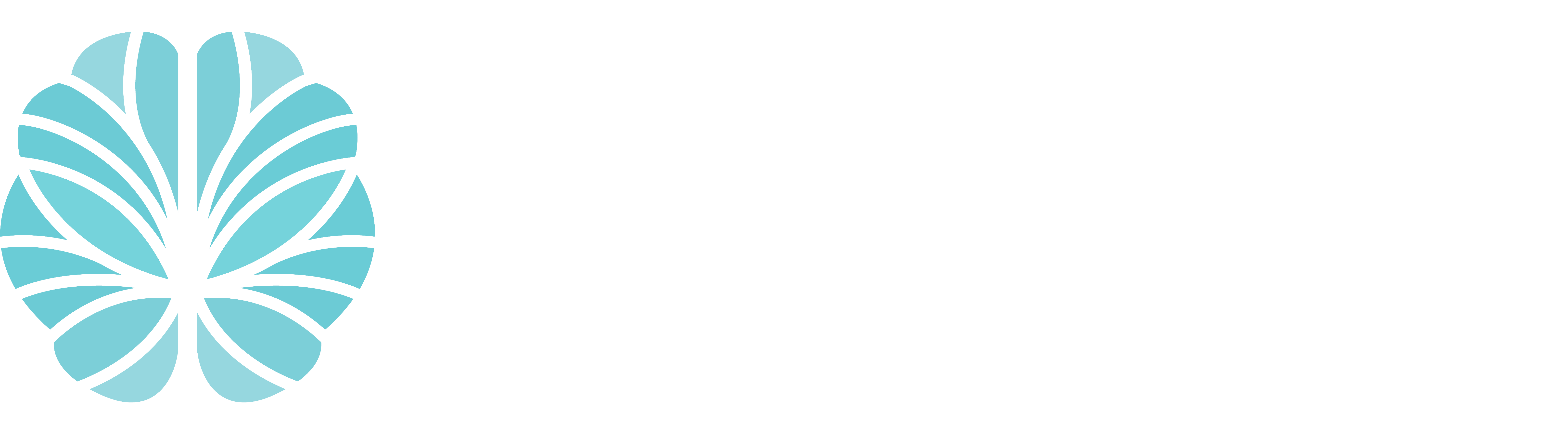 Kollaborative Healing